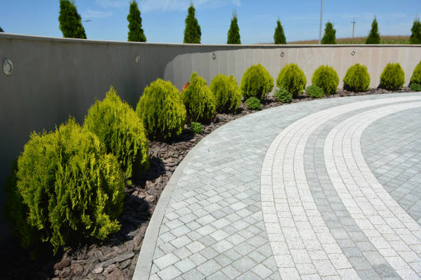 Best Commercial Driveway Pavers  in Dodge Center, MN